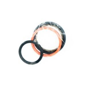 Seal Kit for RDDALCN  Valve (B110B)