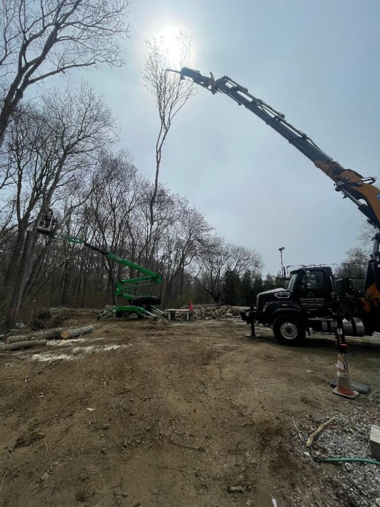 Effer 655 Grapplesaw Truck on 2019 Freightliner