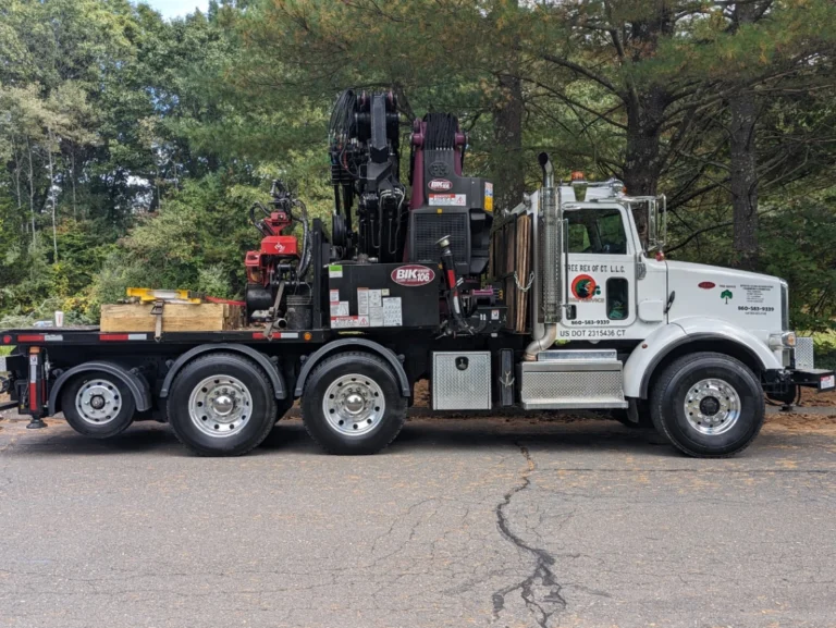 2022 Peterbilt W Bik Tc 106 Grapplesaw Truck 1 Webp
