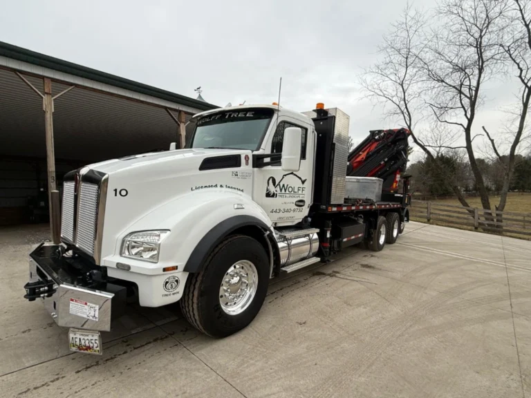 Palfinger Pk 65002 Tree Mek Webp 2