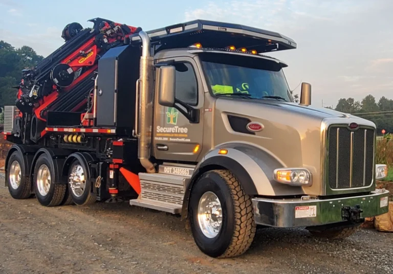 2021 Palfinger Pk65 Tree Mek Webp